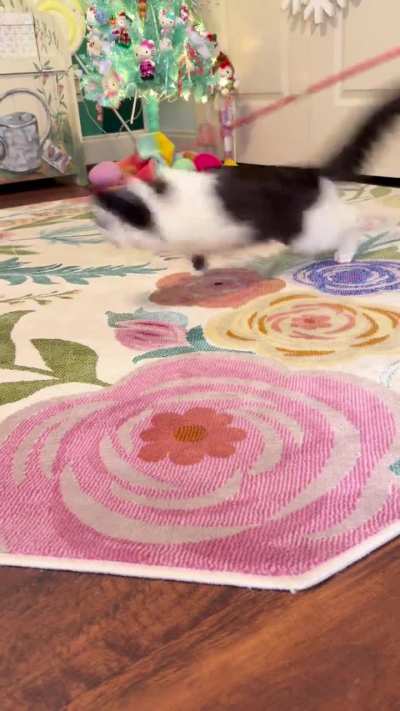 Advent calendar 2, day 21 🦋 — WOW, what a win!