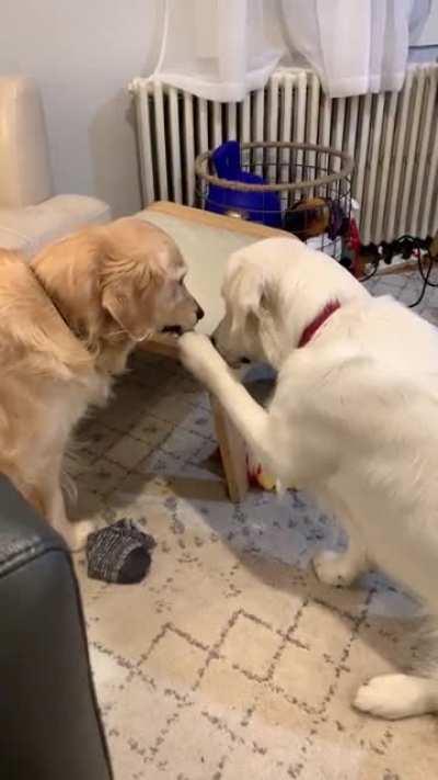 I think she pressed the pause button