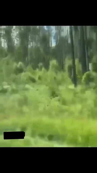 Enjoying the view and chilling in the car