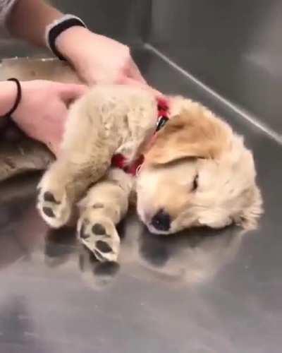 Rest Here Weary Traveler.