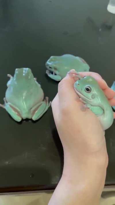 Feels good in the hand.