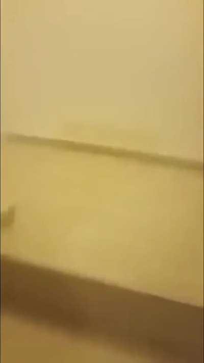 Canadian tourist family deals with their children being stuck in an elevator in the most nonsensical and insane way possible