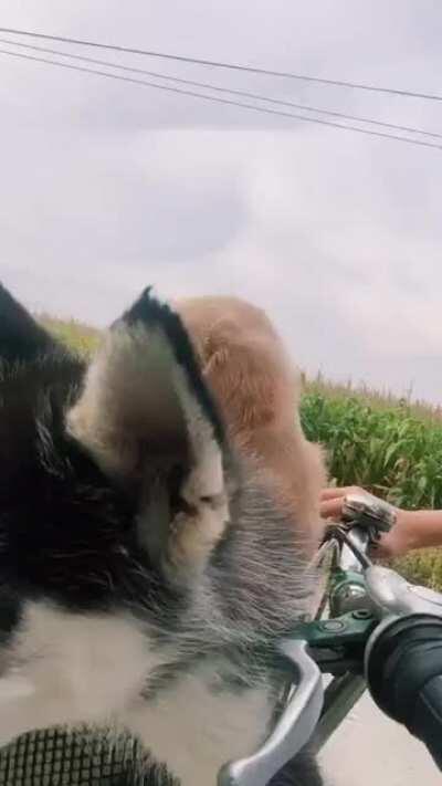 such a wholesome duo