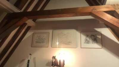 My cat Blackberry has done this before but my friends told me it was really impressive and I should share..