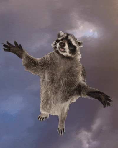 tf_coon_irl