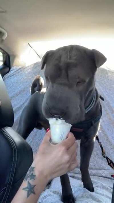 First “puppacinno” ...finally caved in and let him try... 😛