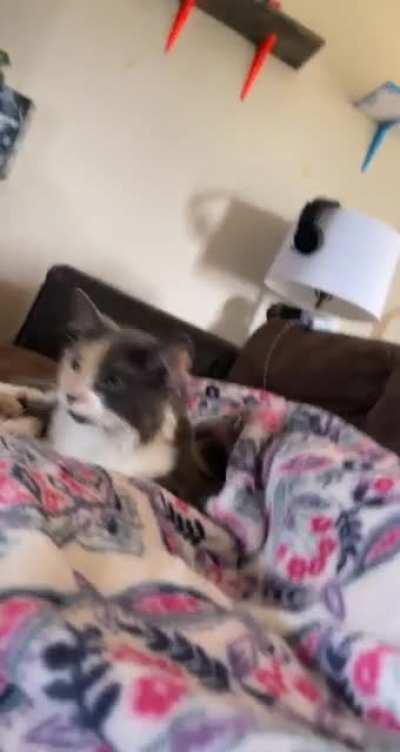 LL Cool Beans is a big talker