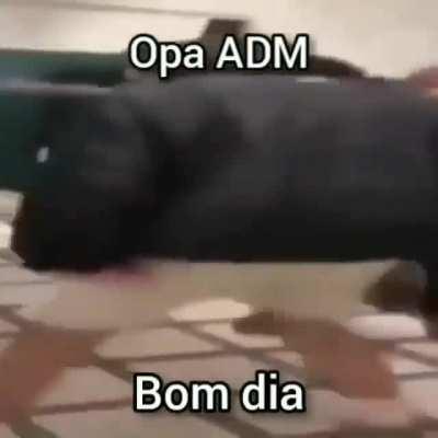 Bom dia grupo ☺️😃❤️💓💞