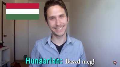 Походная книга путешественника из лиги нахуй. Маст хев !