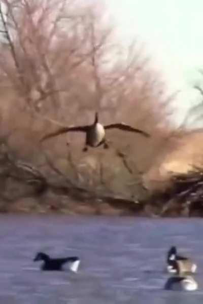 Came too slow and stalled on the short final 😭😭 may god comfort the family 🙏🙏