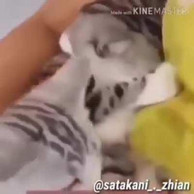 When you didnt get fed first