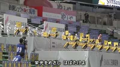 Spot and Pepper robot dance inside Fukuoka Dome, home of the Fukuoka Softbank Hawks.