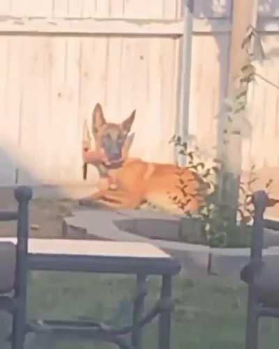 Самый простой способ проникнуть на охраняемую территорию - это подкупить стражу