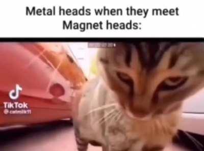 they are attracted to each other