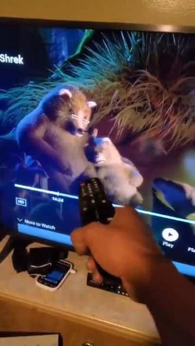 Has siktir olaya bak Shrek filminde prens, ormandaki sihirli yaratıkları toplatırken hapsettiği 3 ayı ve hikayesi