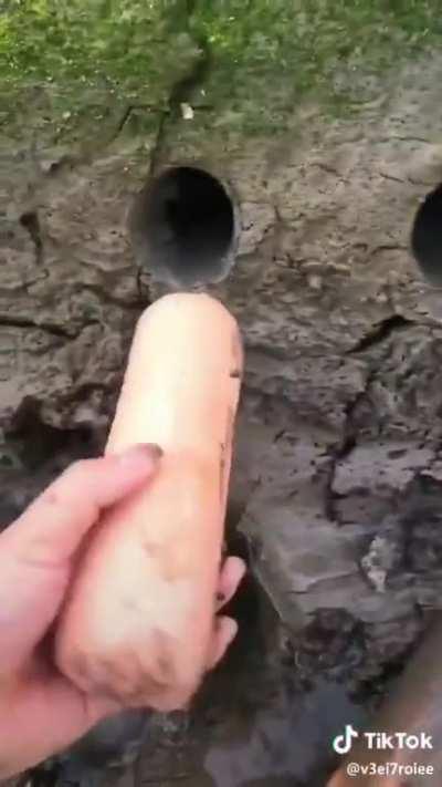 Imagine putting your hand in that