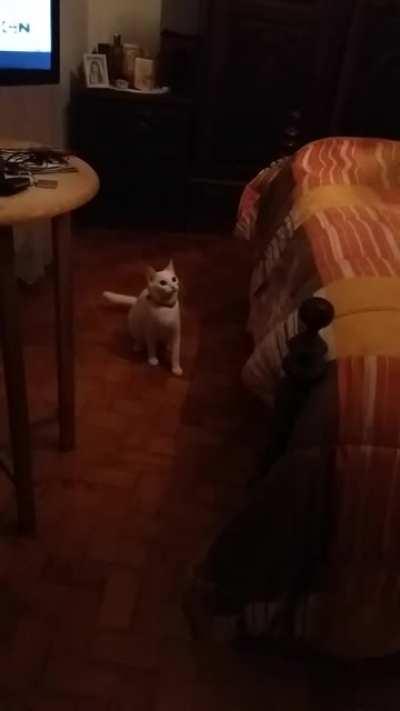 My baby was trying to catch a fly and...