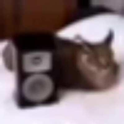 bedrock v9 | buenos dias o noches cuando se publique esto