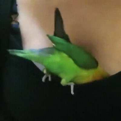 We all need to live the dream...