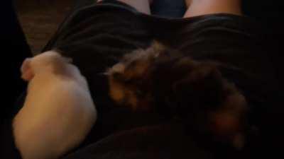 When you are too excited to sit still...