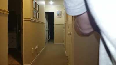 Cerberus - Minor setback with the pump system solved!!! Rotofury is fully Operational!!