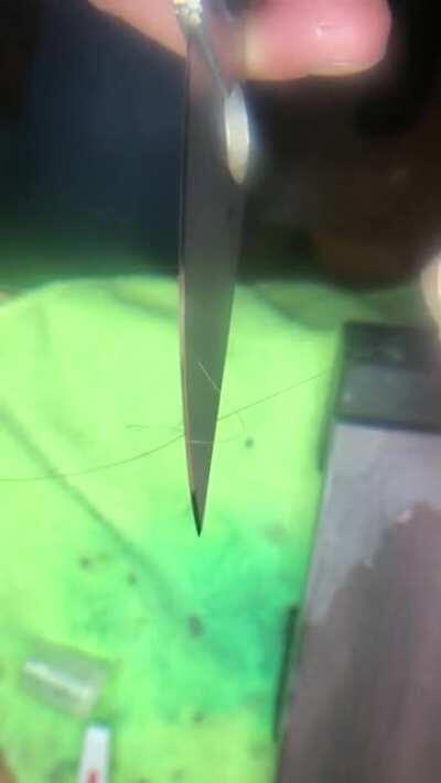 I dragged my less sharp thingy across some wet rocks and it’s come back a more sharp thingy!