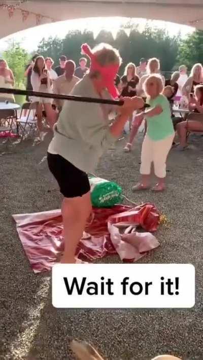 Everyone’s dream activity