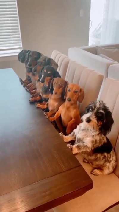 They are so lovely 😍