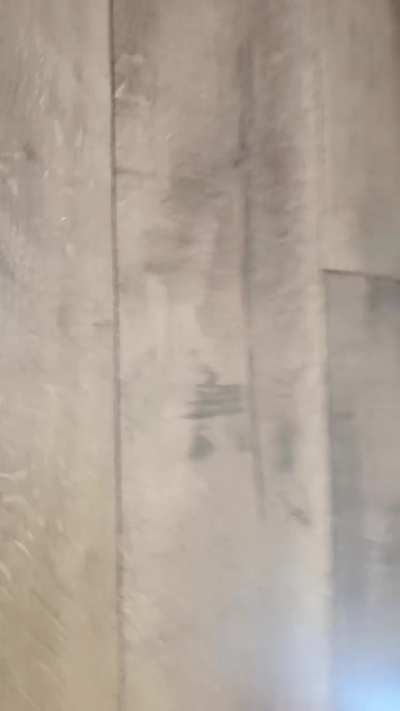 A tt I found while searching for slime god tips