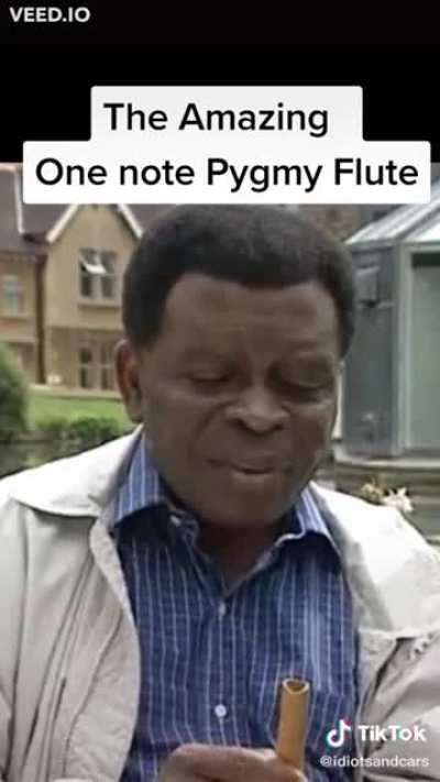 Man shows off what he can do with a one dimensional instrument