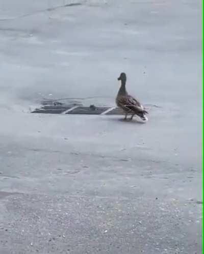 Its like the song but 4 go missing at the same time