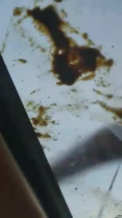 Полный трэш.