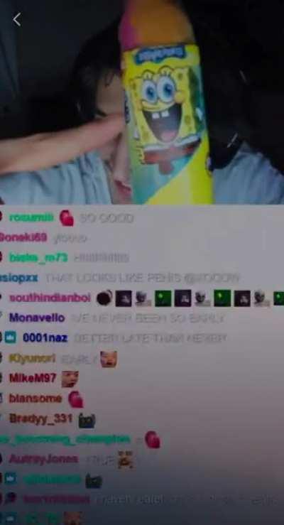 MR COW SHOWS OFF HIS SPONGEBOB POPSICLE