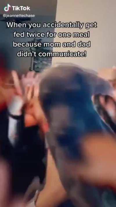 The dog cheated the system