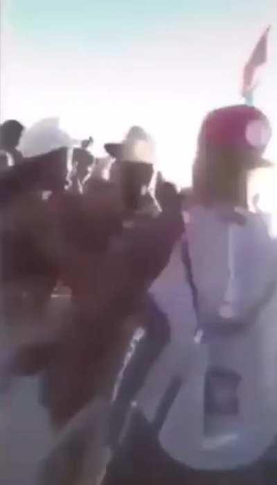 Star Platinum KNOCK OUT