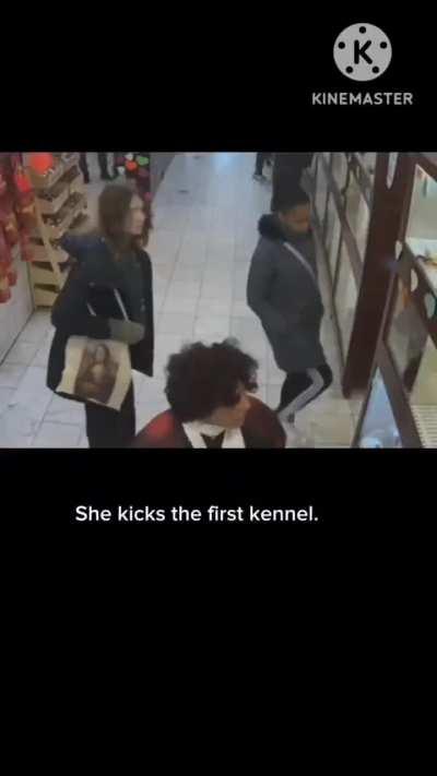 lady kicks the dog cage, asked to leave and then slaps some random lady on the way out