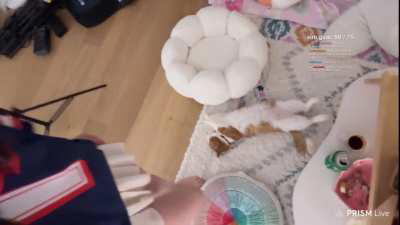 IGumdrop in Apartment with Cat &mdash; August 2024