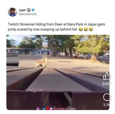 Uh deer!!