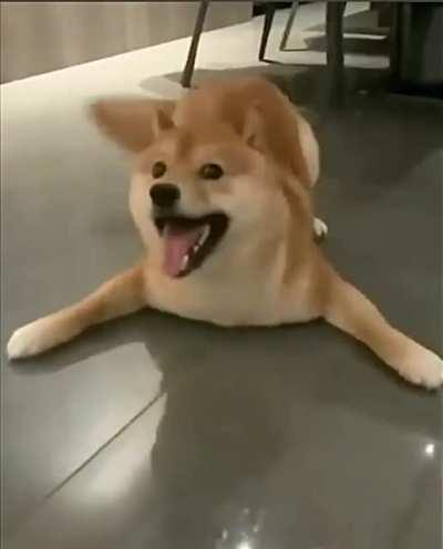 saw this and found it adorable, super sorry if this is a repost