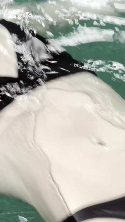 Look daddy, I can swim without my wings now