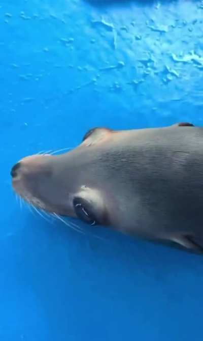 2 baguettes and WAIT WHAT