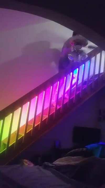 First project! Installed LED strip + motion sensor on my stairs. (Sorry for vid quality)