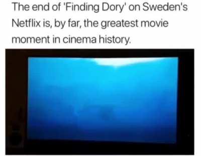Finding Dory