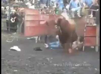 The bull wins this round. Tossed veggie.