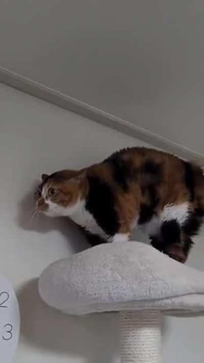 Видимо что-то случилось...