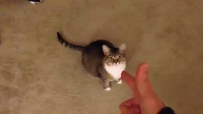 Quando o ping do seu amigo está alto