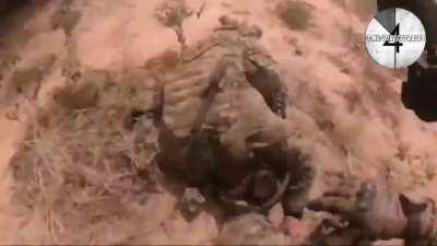 Full Version Tongo-Tongo Ambush (NSFW)