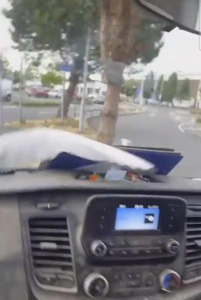 Fuck this seagul in particular (and his daughter too I suppose)