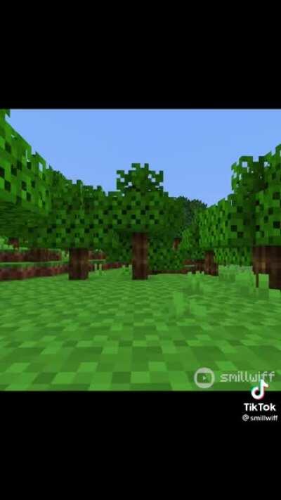 Always wanted texture pack with Rock