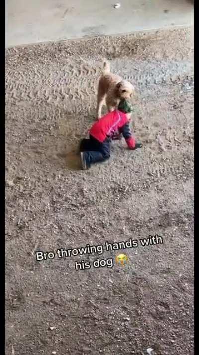 Bro has beef w a dog 💀 (@Reedo on TikTok)